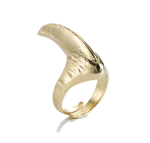 Bjorg Claw Ring